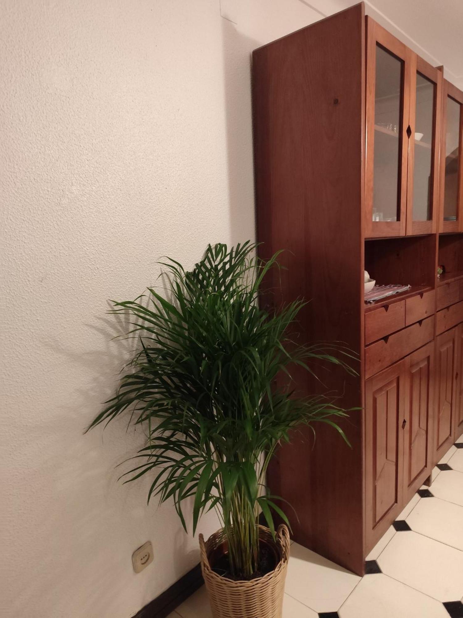 Casa Das Flores Албуфейра Екстериор снимка